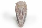 Carved, Banded Fluorite Dinosaur Skull #218476-2
